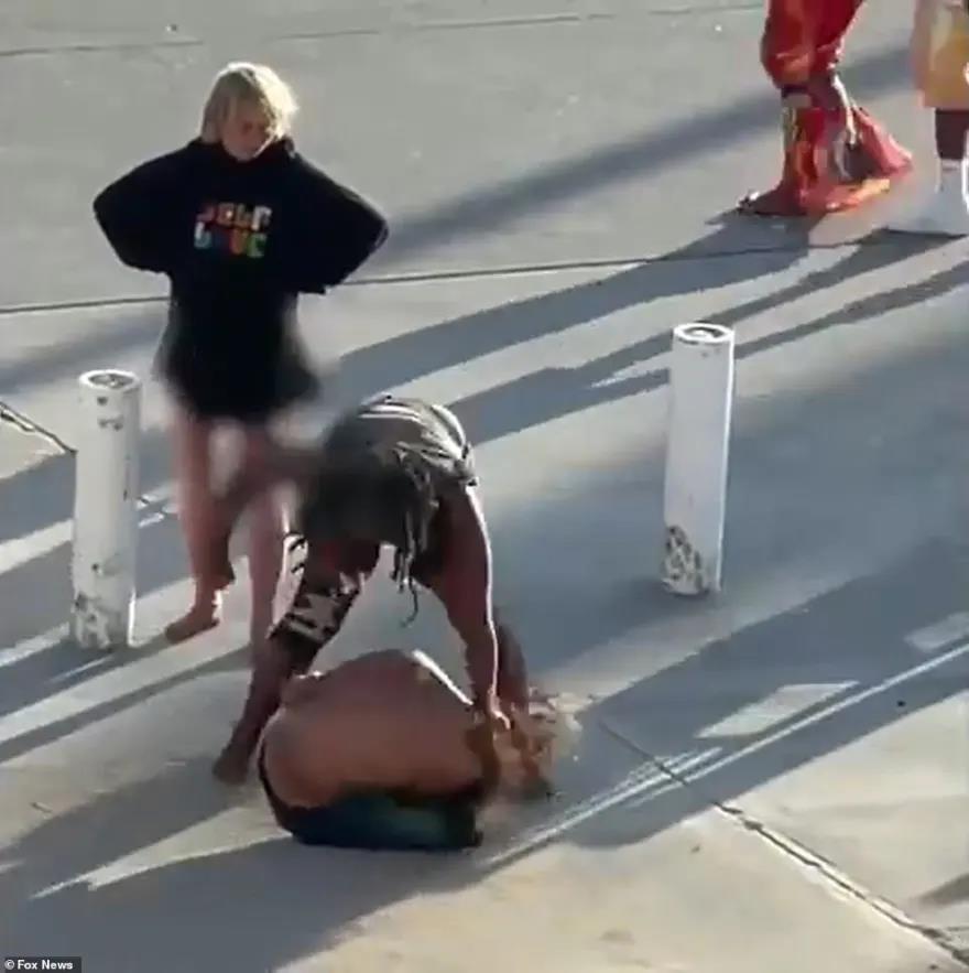 3947225834105205 image