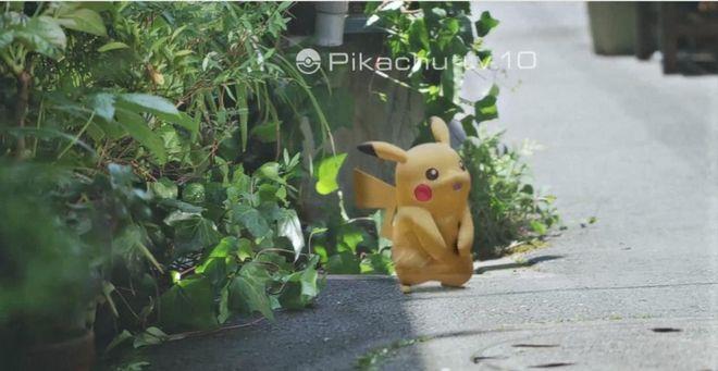 POKEMON 