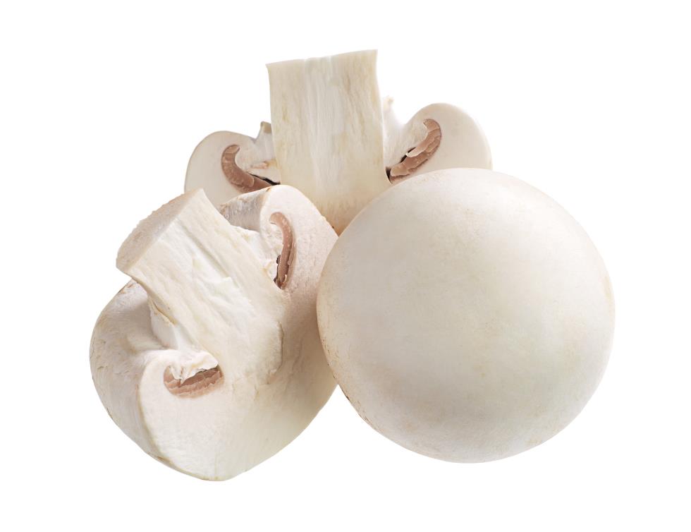 3954263853351422 white