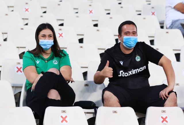 3954467816223675 image