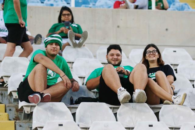 3954467953508955 image