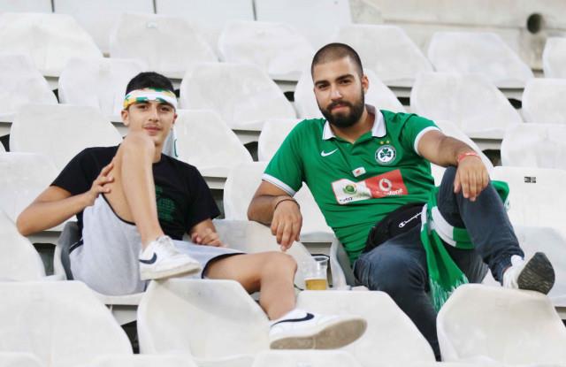 3954468017939433 image