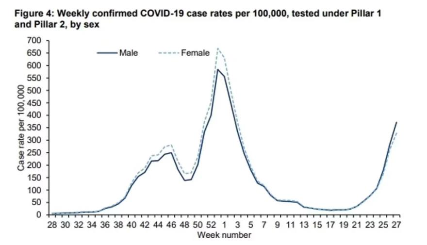 3956165911481538 image