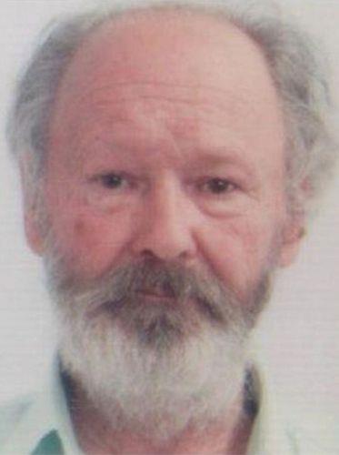 3961925450278821 image