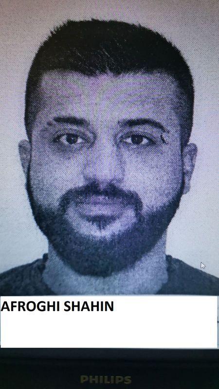 3962906996463098 image