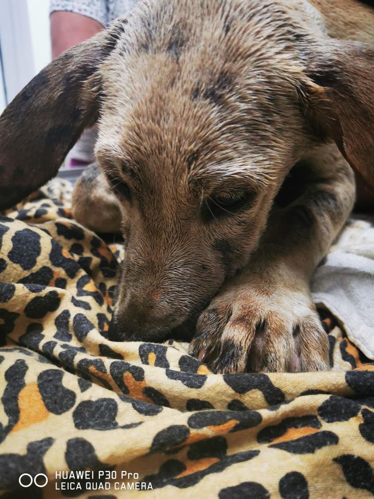 3965603152379930 image