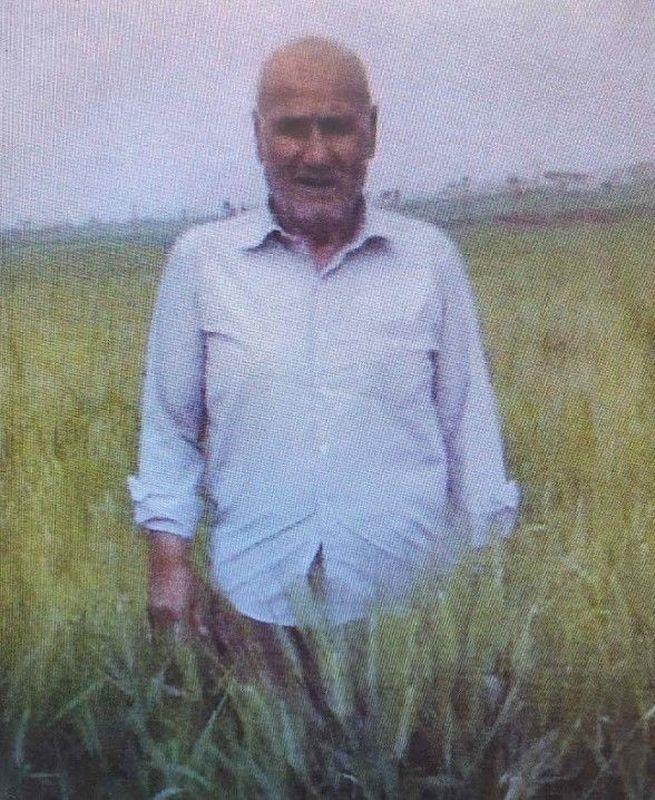 3967246708995361 27814 P 800 800