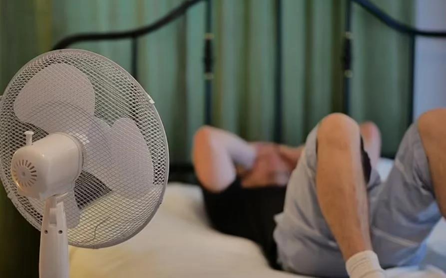 3971626695000147 image