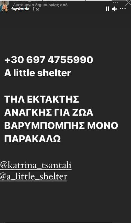 3972981400956216 3skorda