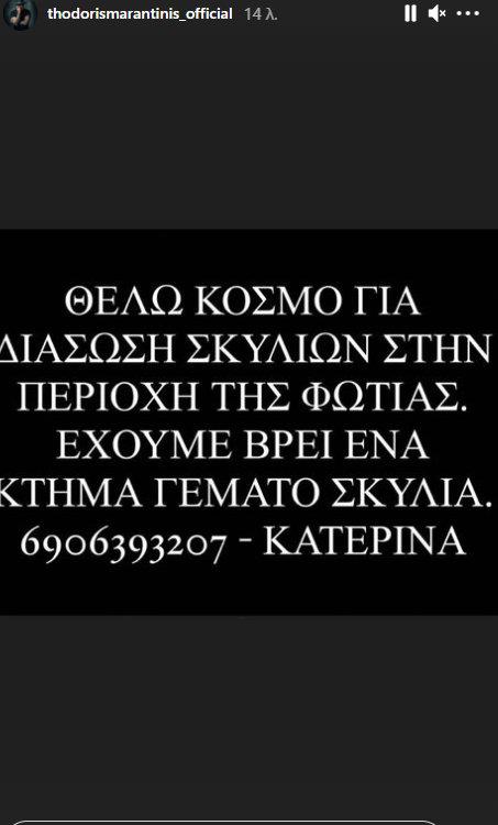 3972981403920330 8maradinis