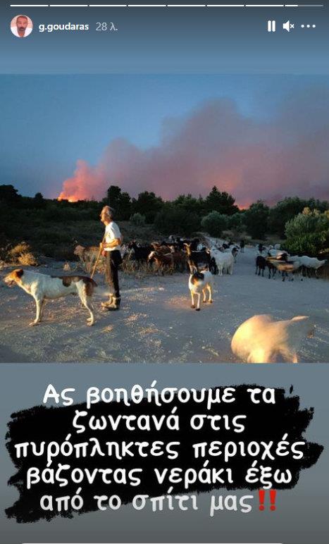 3972981427945254 1goudaras