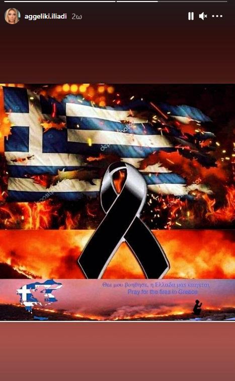 3972981423577086 iliadi3