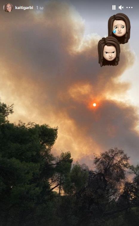 3972981435277536 10garbi