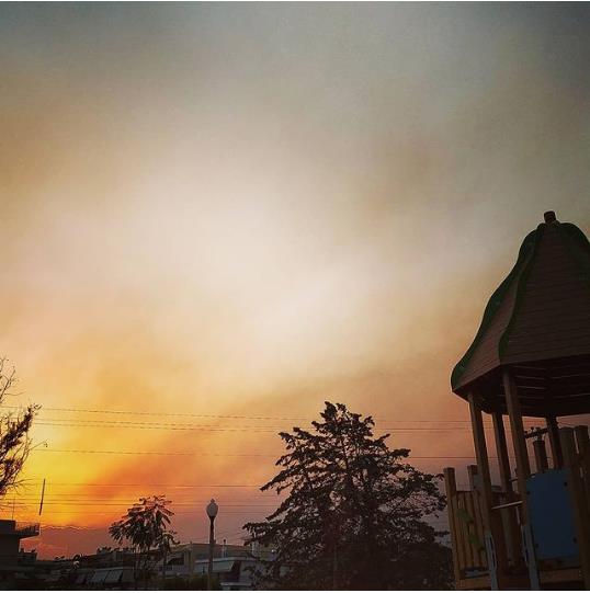 3972991444622496 image