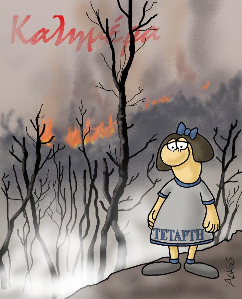 3973019029135398 228989720 2336835616452587 6757379706191129254 n