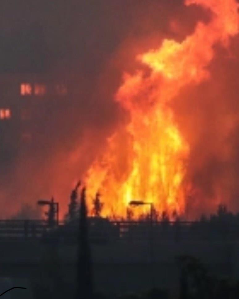 3973047336892116 evdokia.roumelioti 230913654 3507137852722933 1324047520464233479 n