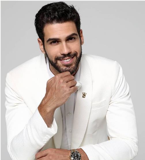 3973057372446084 image