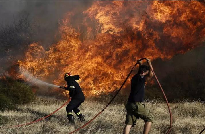 3973066688500380 image