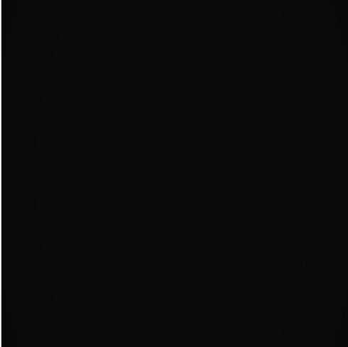 3975665590776166 image