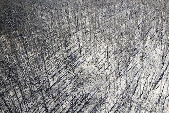 3977588425475779 ap21220356475759