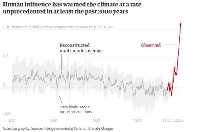 3977588655740635 guardian