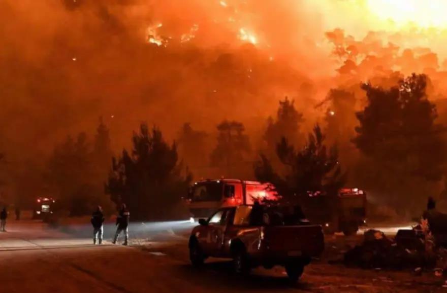 3978149409942855 image