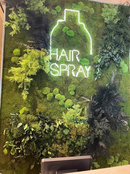 HAIR SPAY