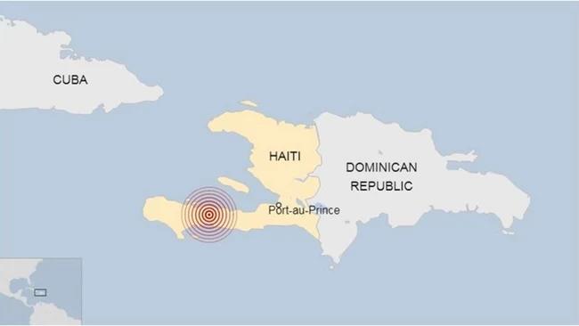 3982055466874436 image