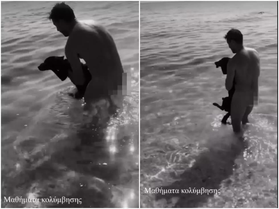 3986157152899725 image