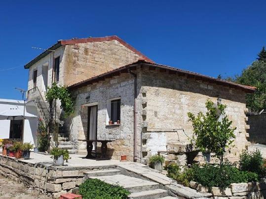 pachna100