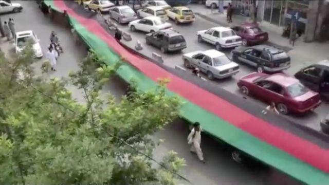 3986741995192257 image