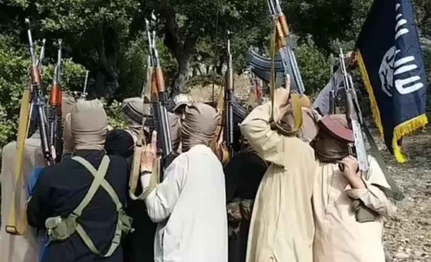 3992125764468615 image