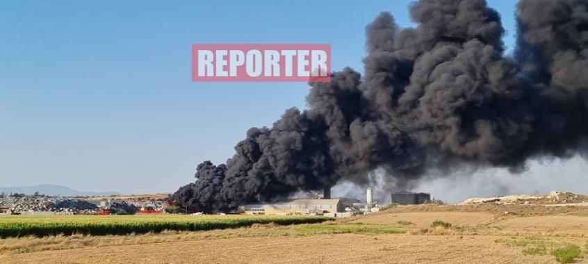 3992435273967788 image