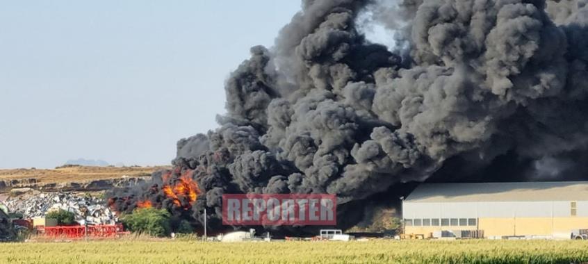 3992435332002020 image