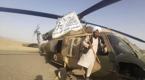 3993112531212897 image