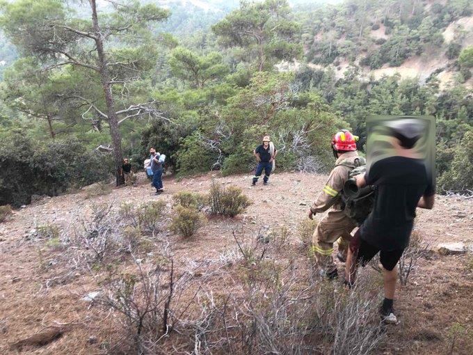 3994153617341872 image