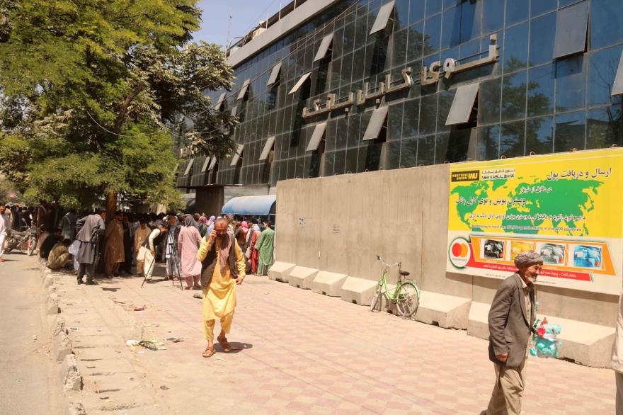 3994820043900566 image