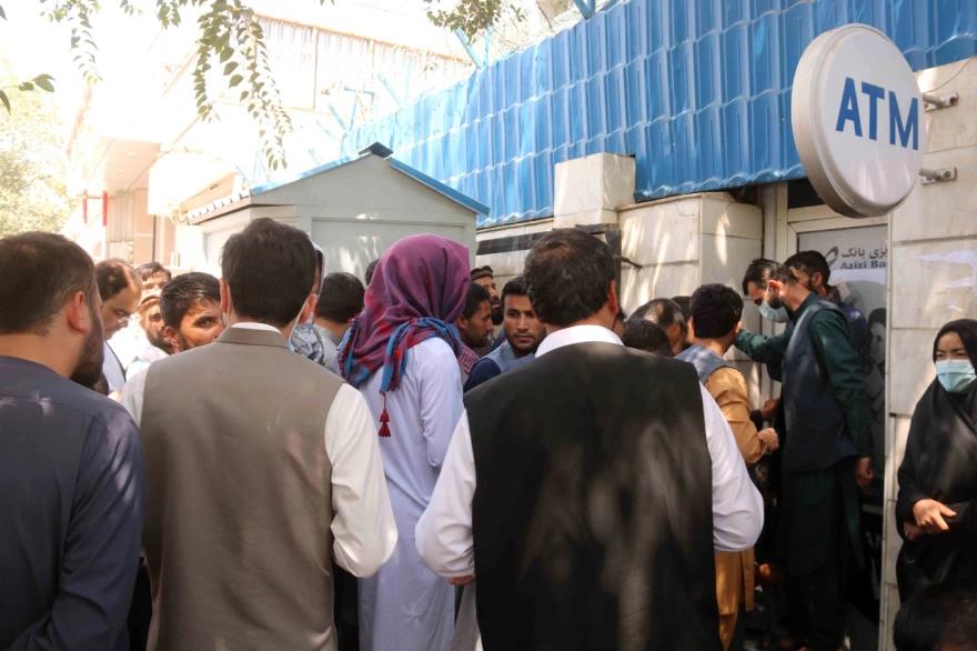 3994820171669480 image