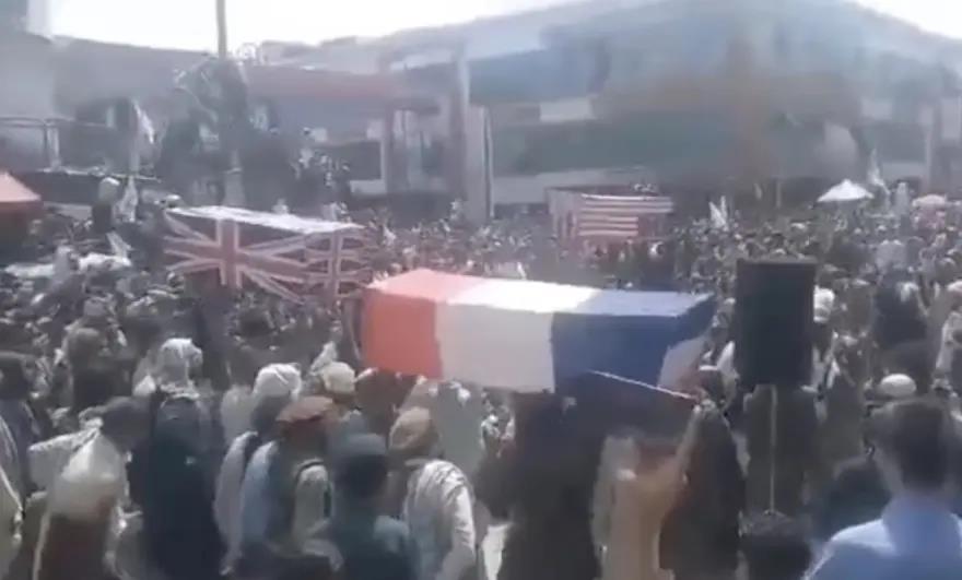 3996815407538351 image