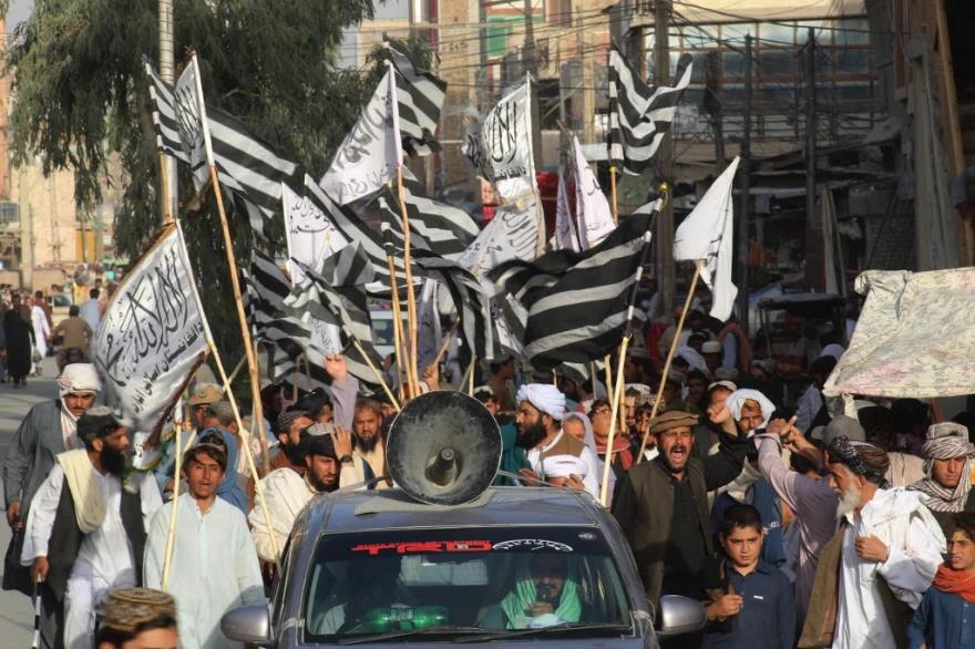 3996815693185337 image