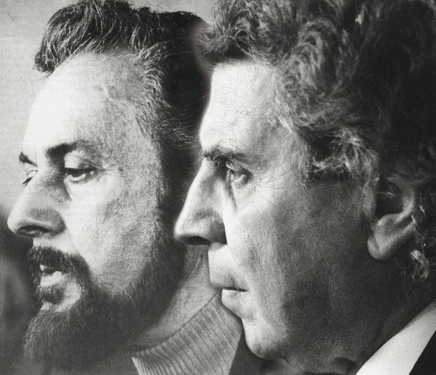 3998859133440807 image