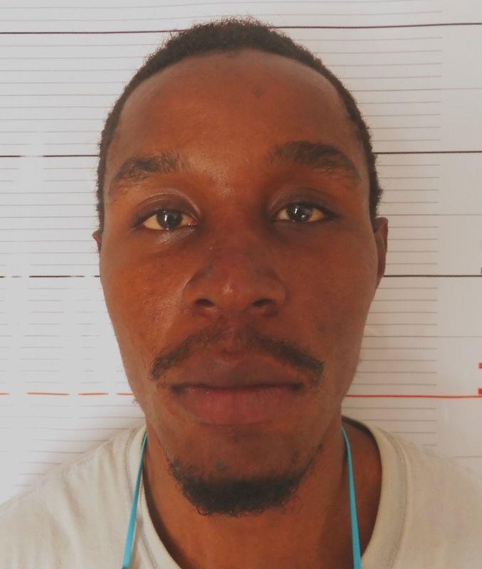 3999233818733408 image