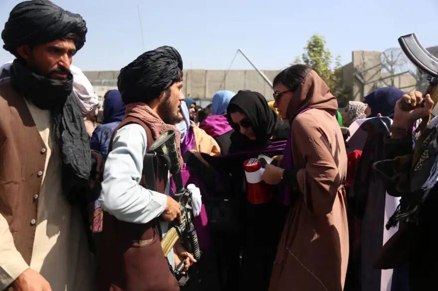 4000177753562025 image