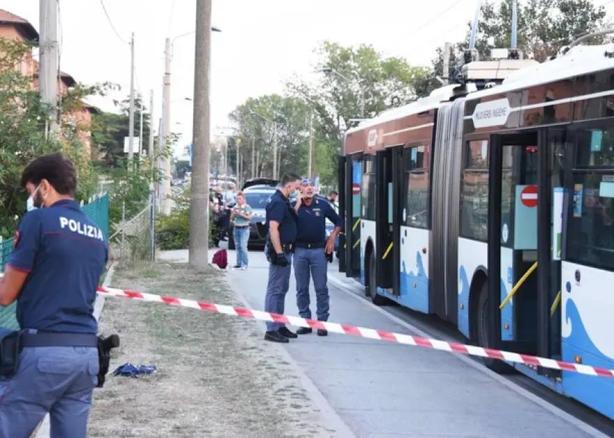 4006773067722648 image