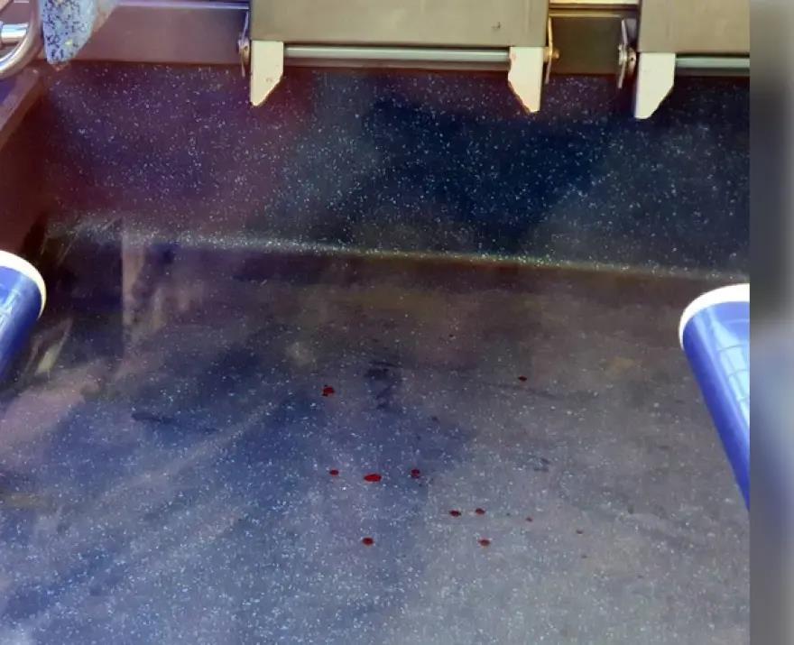 4006773528876384 image