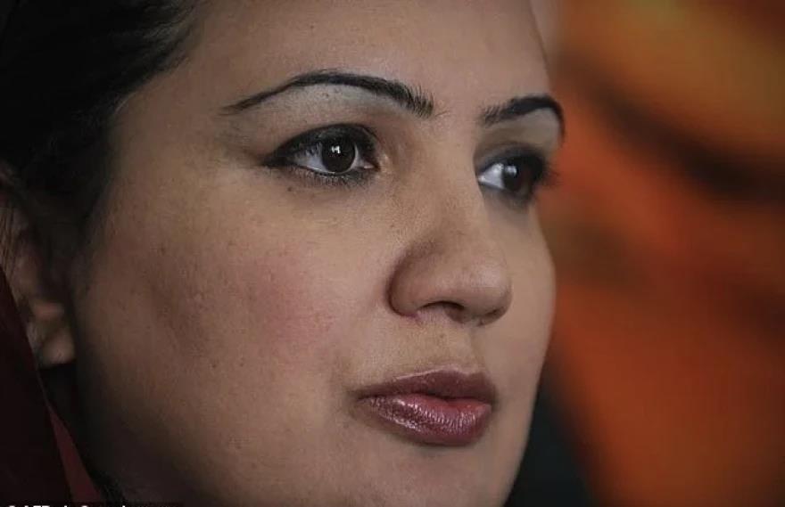 4008348894039636 image