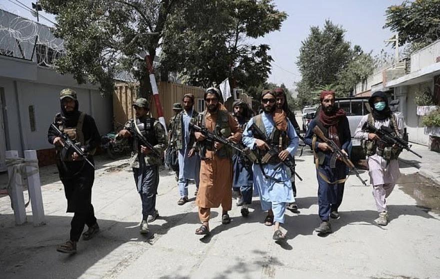 4008349075785461 image