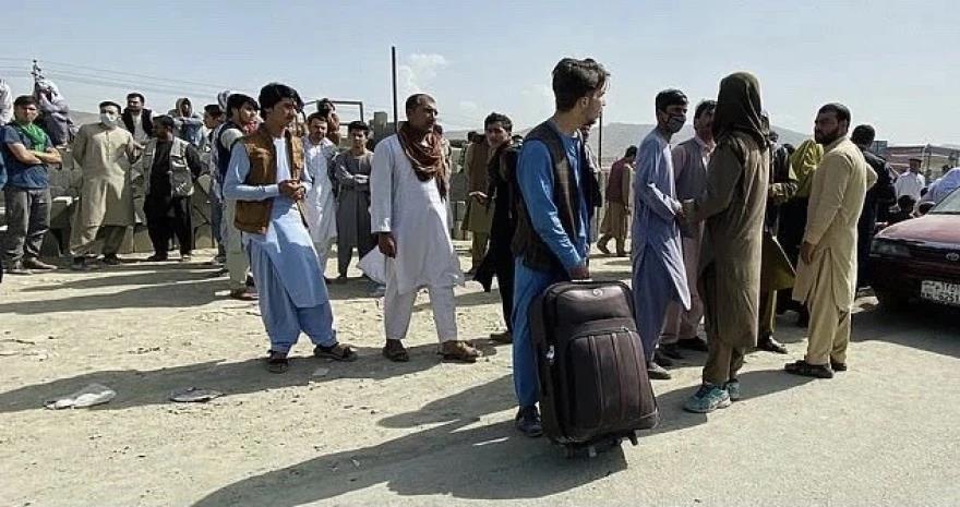 4008349705113550 image