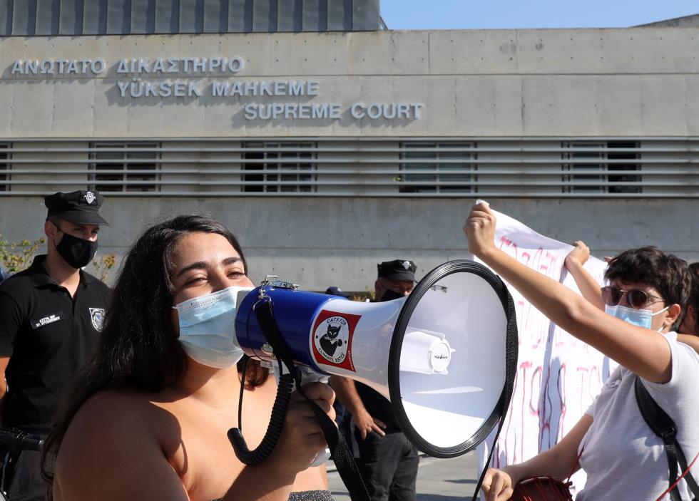 4010349417779848 image