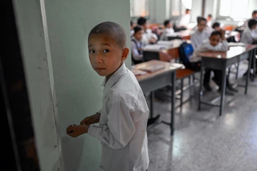 4012287079292576 image